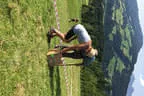 Bergleuchten 2017 Bild 45