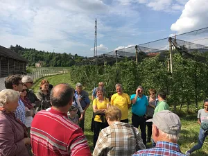 ausflug 2018 obstbauer besuch beim obstbauern
