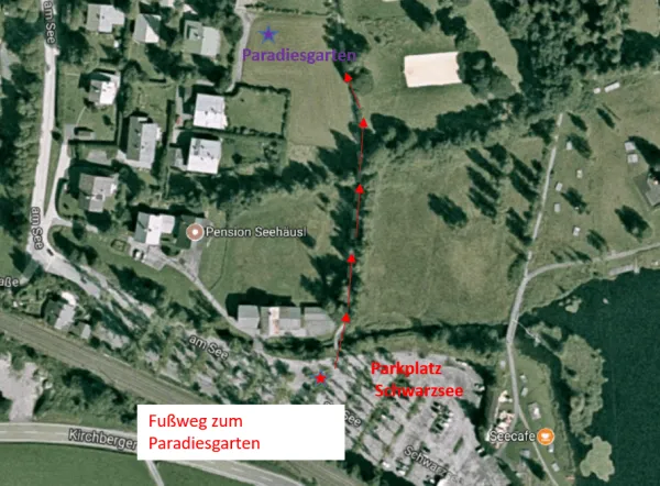 Fussweg Paradiesgarten Fussweg Paradiesgarten