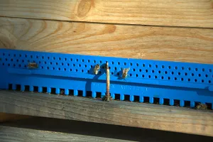 Flugloch mit Bienen Flugloch mit Bienen