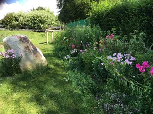 Blumen Blumen im Paradiesgarten